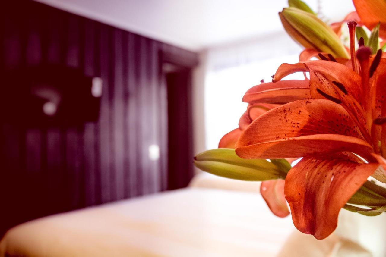 Newen B&B Пукон Экстерьер фото
