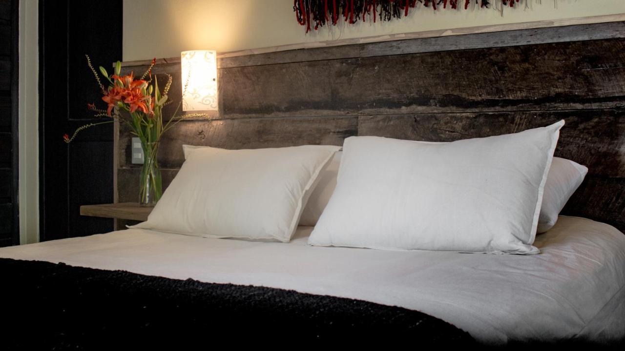 Newen B&B Пукон Экстерьер фото