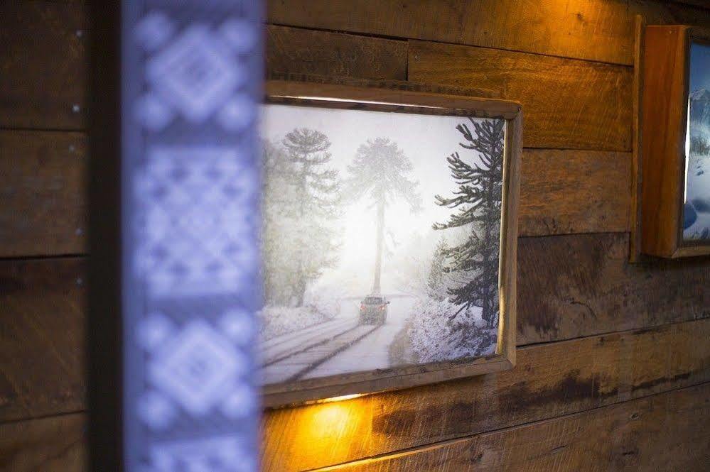 Newen B&B Пукон Экстерьер фото